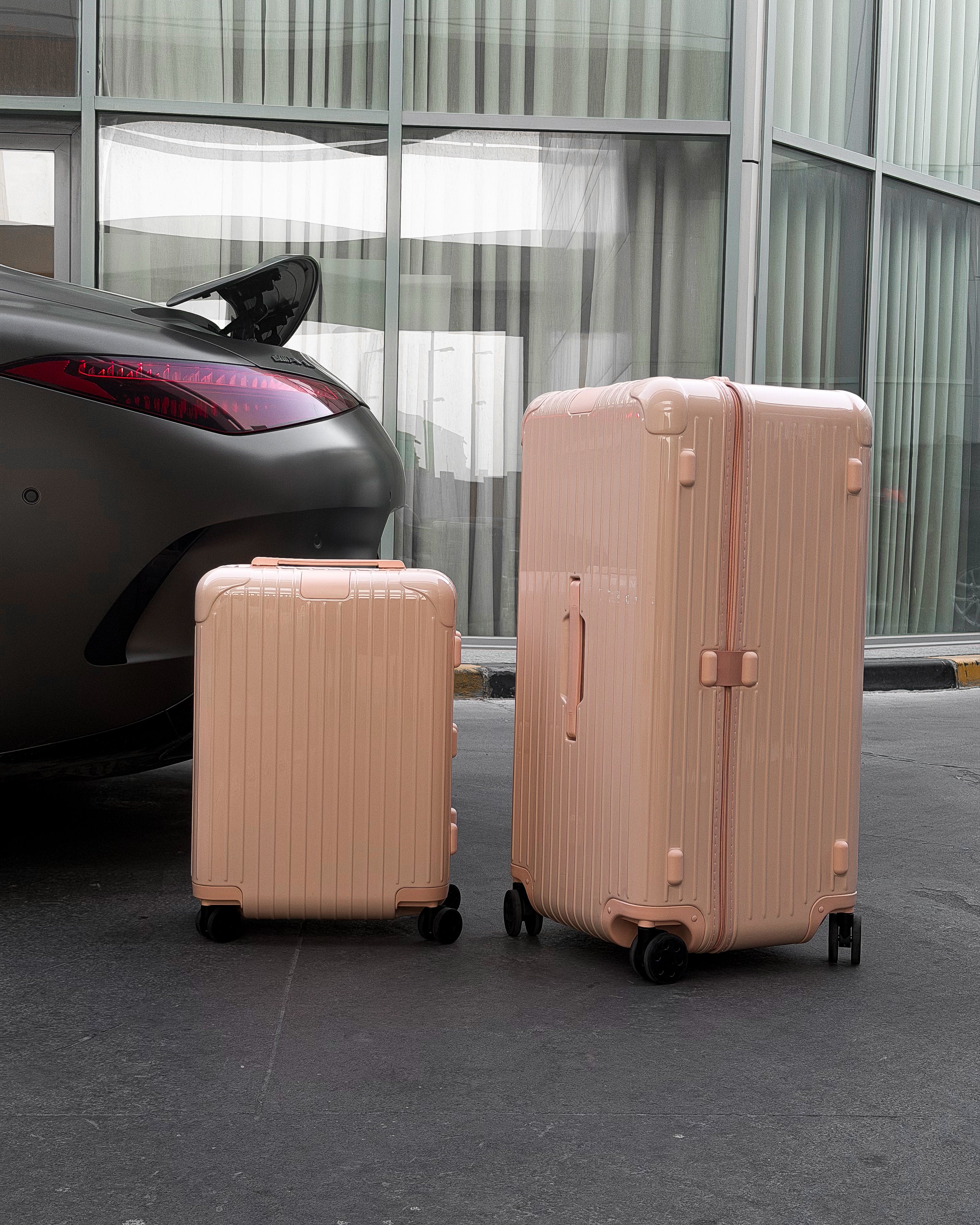 Limited XL Pink Trunk