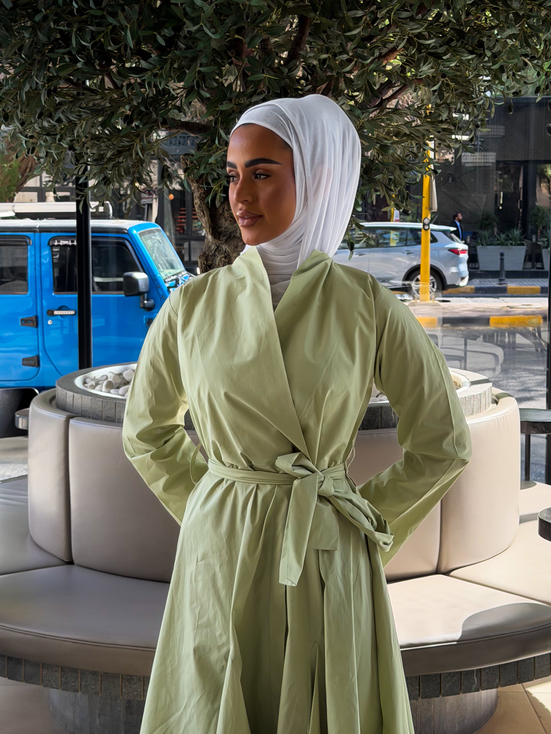 Poplin Signature Dress