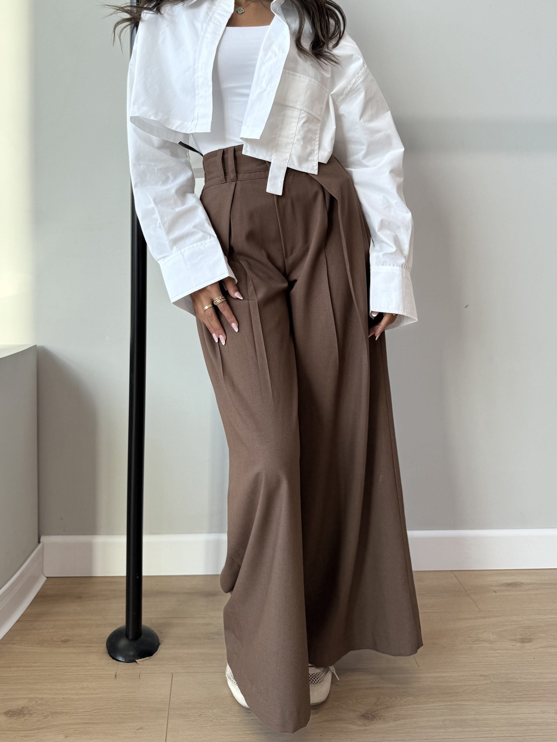 Brown Relaxed Fit Pants
