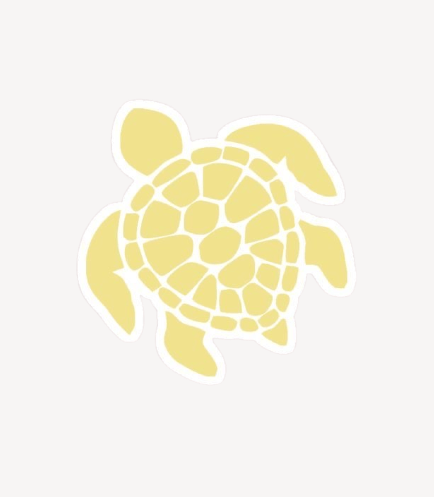 TURTLE STICKER