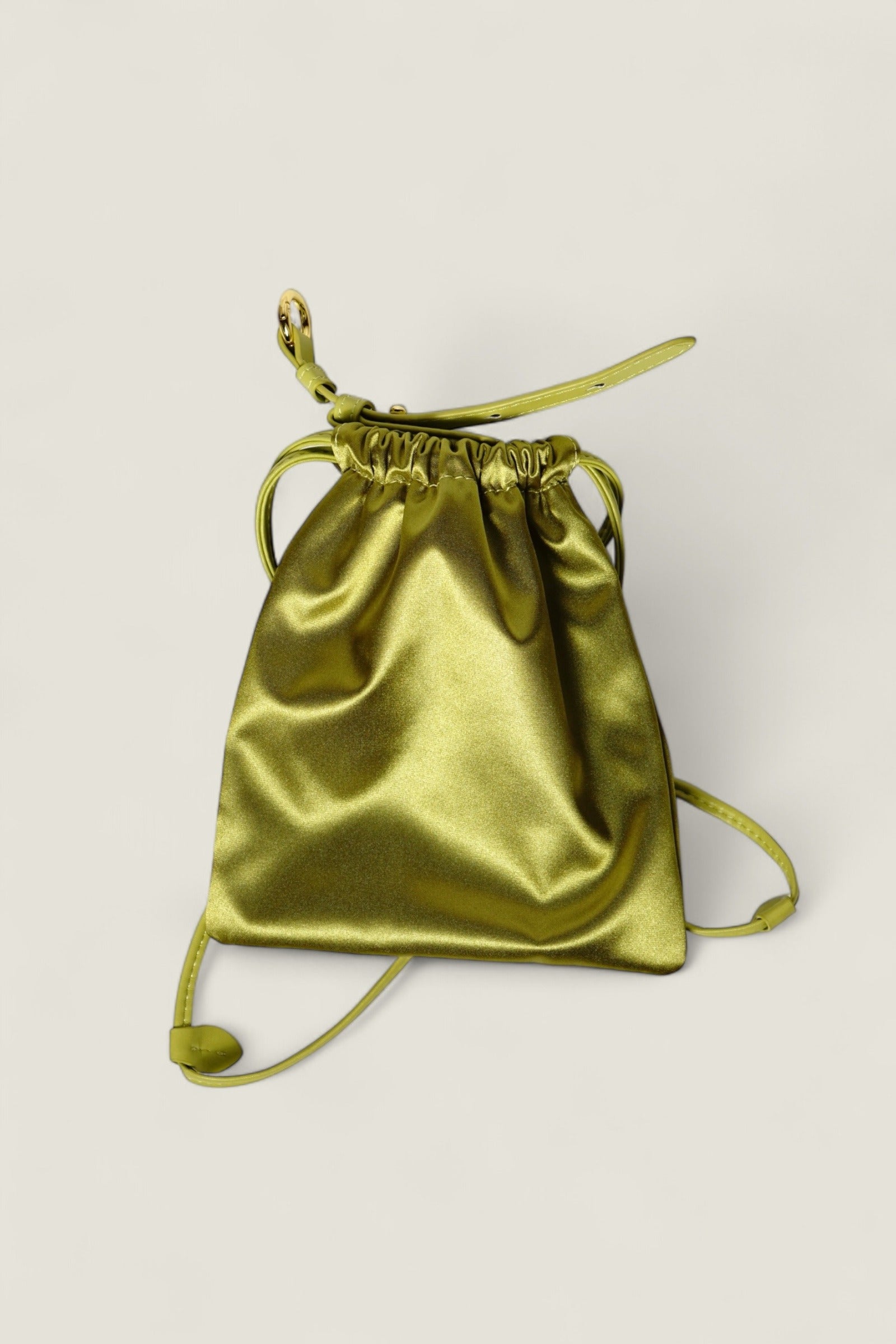 Green Leather Dust Bag